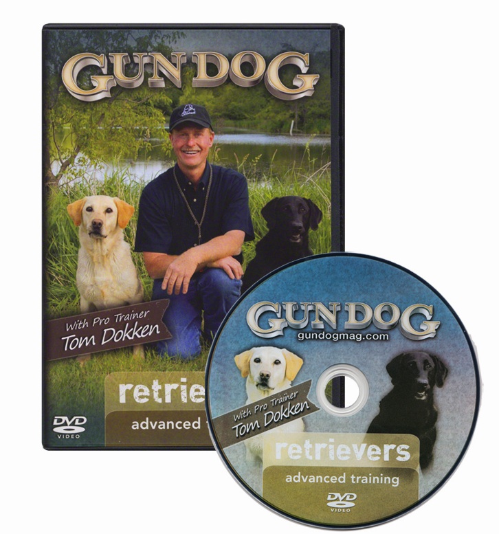 retriever training dvd